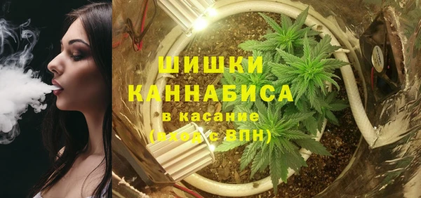 таблы Бородино