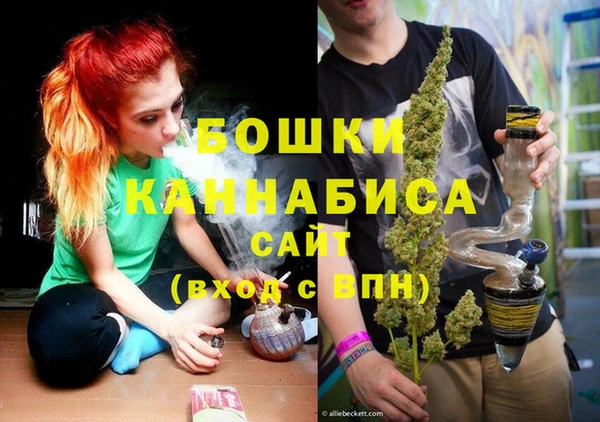 PSILOCYBIN Верея